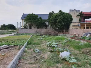 Bán lô đất 2 mặt tiền gần thị trấn Thứa - Lương Tài 1 km