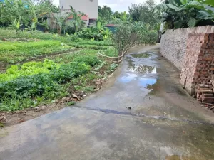 Bán đất thôn Vĩnh Trai, xã Trừng Xá, huyện Lương Tài, full thổ cư ai quan tâm liên hệ