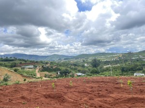 Kẹt tiền giảm 30% bán 9 sào đất có thổ tại Thị Trấn Nam Ban chỉ 772k/m2